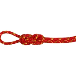 8.0 Alpine Core Protect Dry Rope