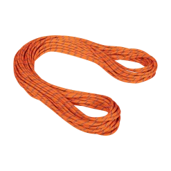 9.0 Alpine Sender Dry Rope