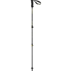 Backcountry Carbon 2.0 Poles