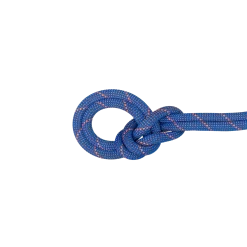 9.0 Crag Sender Dry Rope