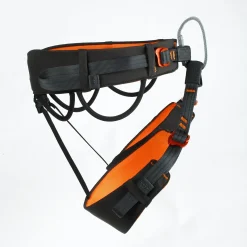 Dart Harness