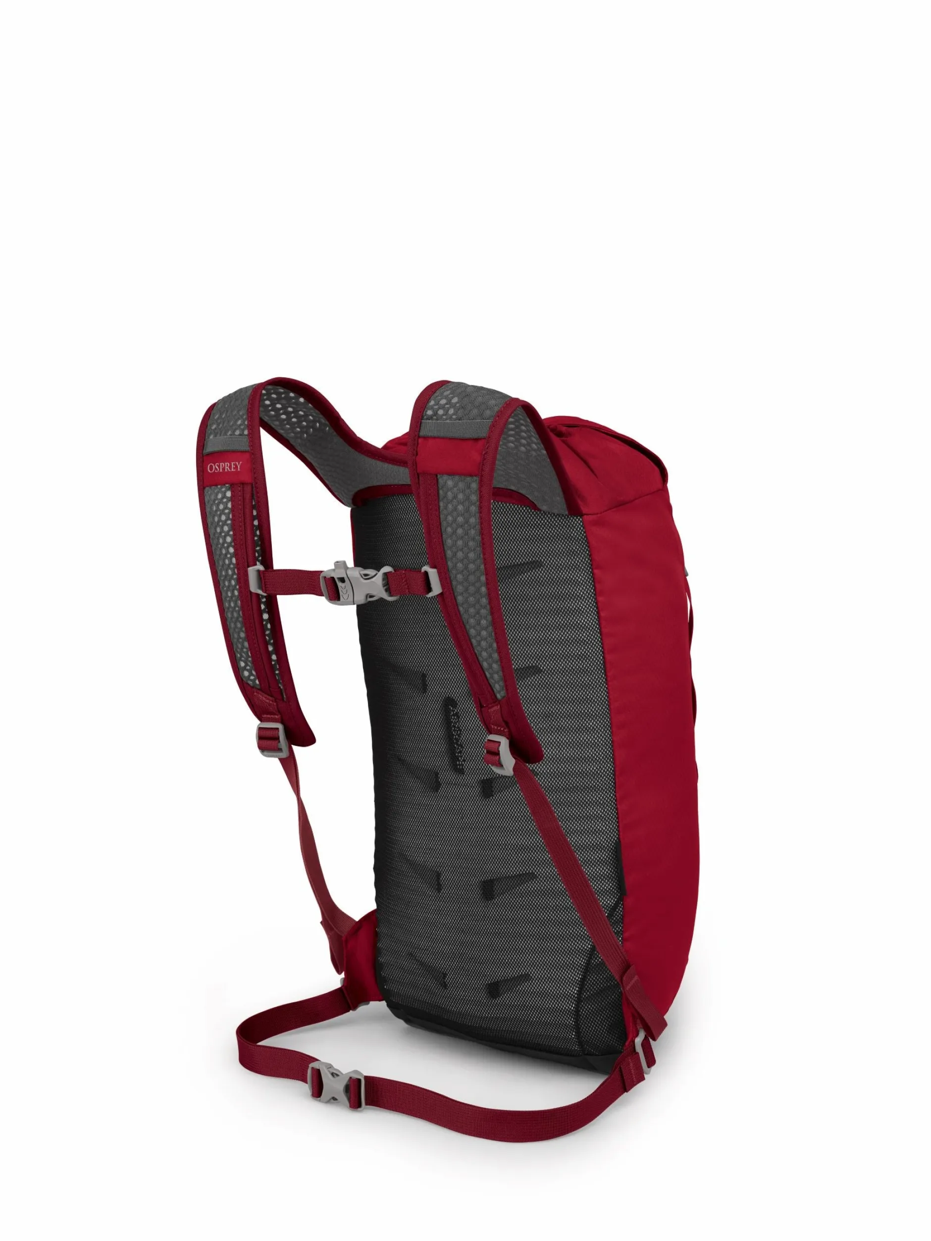 Daylite Cinch