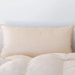 Organic Down Pillow