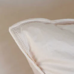 Organic Down Pillow