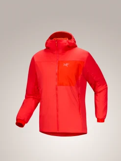 Proton Hoody Men's
