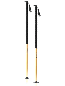 Wyeast Ski Poles