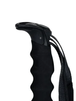 Wyeast Ski Poles